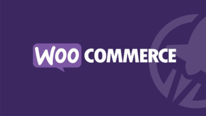 Dijital Yönetici, Arayüz Tasarımcısı ve Wordpress | woocommerce tum siparisleri silme